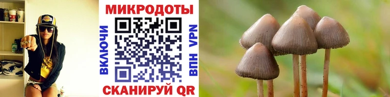 Псилоцибиновые грибы Magic Shrooms  что такое наркотик  Белый 